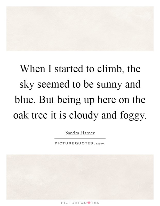 When I started to climb, the sky seemed to be sunny and blue. But being up here on the oak tree it is cloudy and foggy. Picture Quote #1