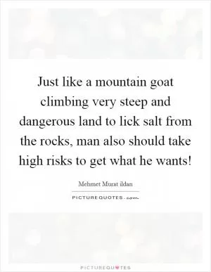 Just like a mountain goat climbing very steep and dangerous land to lick salt from the rocks, man also should take high risks to get what he wants! Picture Quote #1