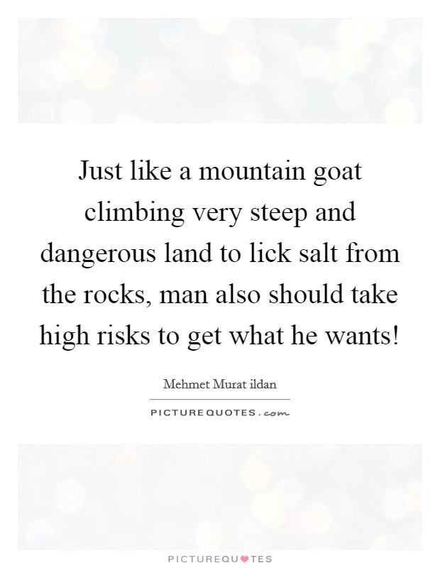 Just like a mountain goat climbing very steep and dangerous land to lick salt from the rocks, man also should take high risks to get what he wants! Picture Quote #1