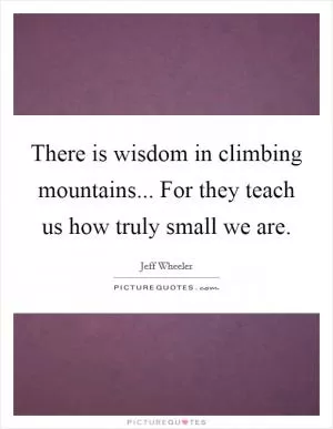 There is wisdom in climbing mountains... For they teach us how truly small we are Picture Quote #1