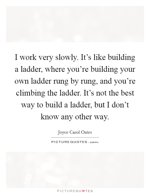 I work very slowly. It's like building a ladder, where you're building your own ladder rung by rung, and you're climbing the ladder. It's not the best way to build a ladder, but I don't know any other way. Picture Quote #1