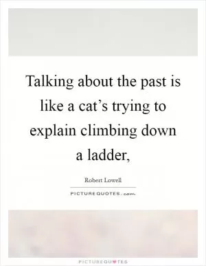 Talking about the past is like a cat’s trying to explain climbing down a ladder, Picture Quote #1