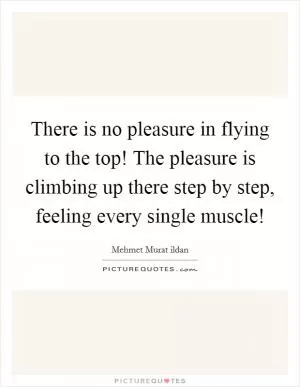 There is no pleasure in flying to the top! The pleasure is climbing up there step by step, feeling every single muscle! Picture Quote #1