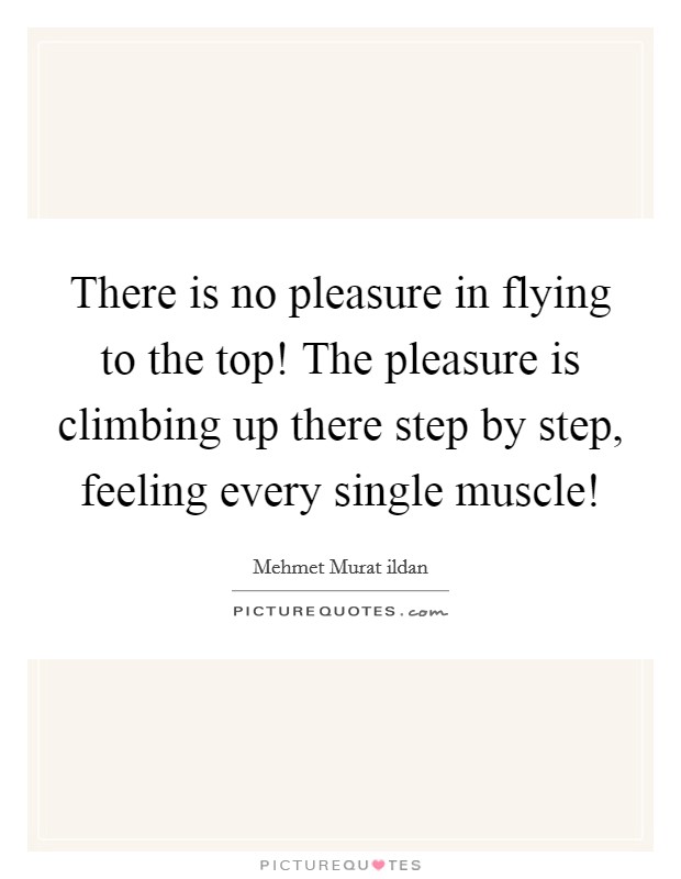 There is no pleasure in flying to the top! The pleasure is climbing up there step by step, feeling every single muscle! Picture Quote #1