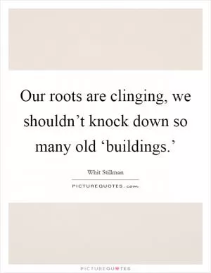 Our roots are clinging, we shouldn’t knock down so many old ‘buildings.’ Picture Quote #1