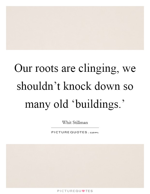 Our roots are clinging, we shouldn't knock down so many old ‘buildings.' Picture Quote #1