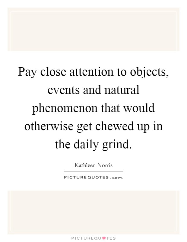 Pay close attention to objects, events and natural phenomenon that would otherwise get chewed up in the daily grind. Picture Quote #1