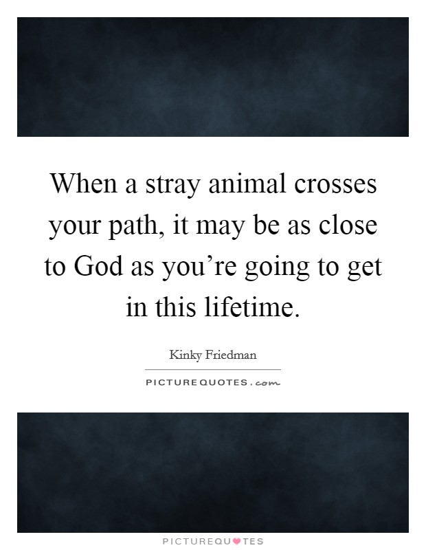 When a stray animal crosses your path, it may be as close to God as you're going to get in this lifetime. Picture Quote #1