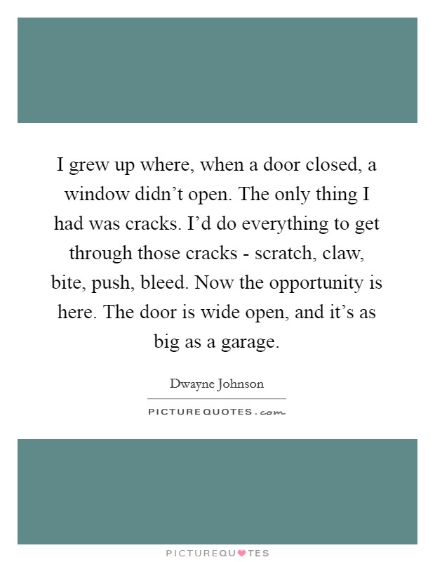 I grew up where, when a door closed, a window didn't open. The only thing I had was cracks. I'd do everything to get through those cracks - scratch, claw, bite, push, bleed. Now the opportunity is here. The door is wide open, and it's as big as a garage. Picture Quote #1