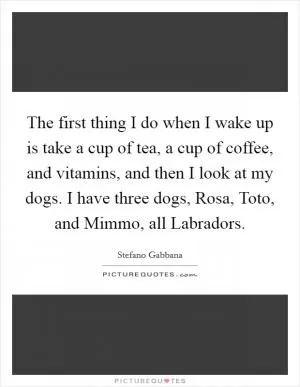 The first thing I do when I wake up is take a cup of tea, a cup of coffee, and vitamins, and then I look at my dogs. I have three dogs, Rosa, Toto, and Mimmo, all Labradors Picture Quote #1