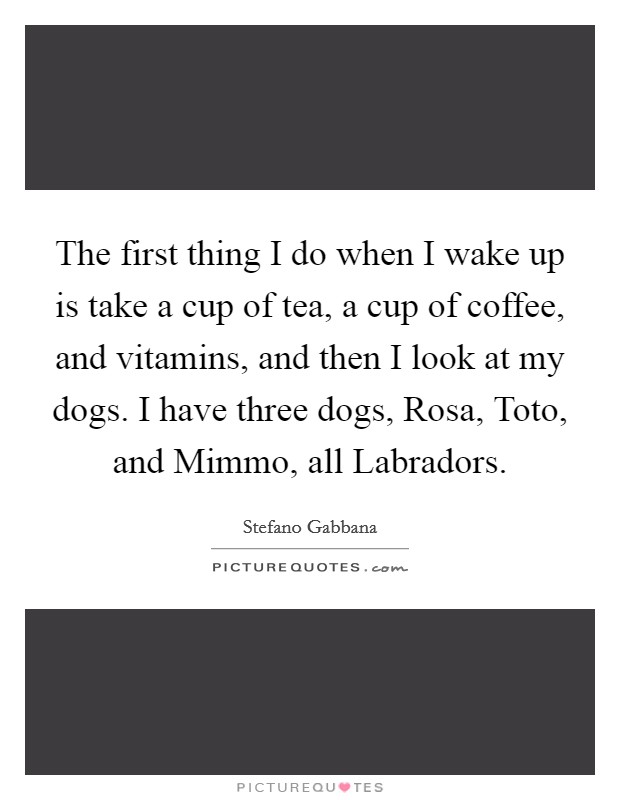 The first thing I do when I wake up is take a cup of tea, a cup of coffee, and vitamins, and then I look at my dogs. I have three dogs, Rosa, Toto, and Mimmo, all Labradors. Picture Quote #1