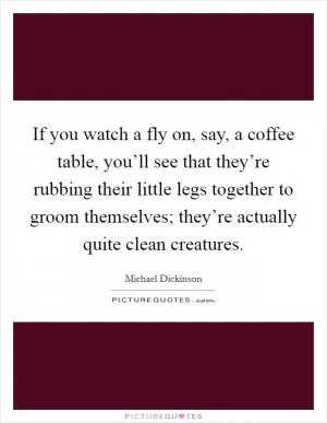 If you watch a fly on, say, a coffee table, you’ll see that they’re rubbing their little legs together to groom themselves; they’re actually quite clean creatures Picture Quote #1