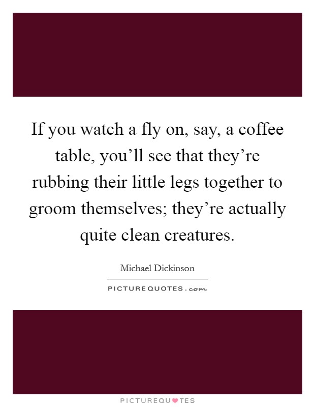 If you watch a fly on, say, a coffee table, you'll see that they're rubbing their little legs together to groom themselves; they're actually quite clean creatures. Picture Quote #1