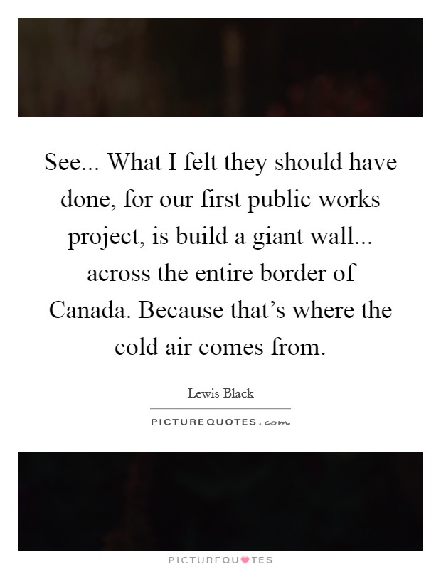 See... What I felt they should have done, for our first public works project, is build a giant wall... across the entire border of Canada. Because that's where the cold air comes from. Picture Quote #1