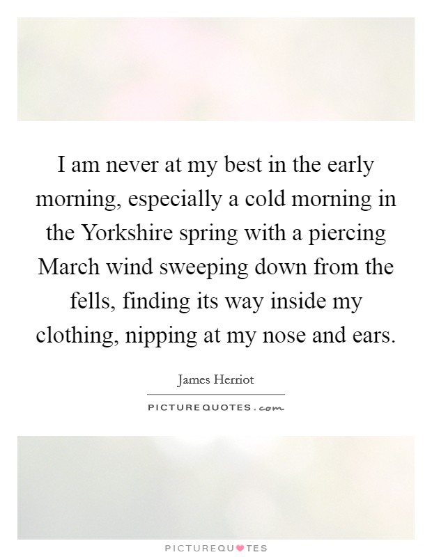 I am never at my best in the early morning, especially a cold morning in the Yorkshire spring with a piercing March wind sweeping down from the fells, finding its way inside my clothing, nipping at my nose and ears. Picture Quote #1