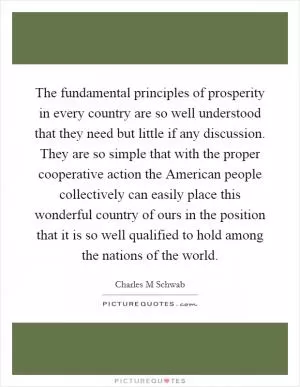 The fundamental principles of prosperity in every country are so well understood that they need but little if any discussion. They are so simple that with the proper cooperative action the American people collectively can easily place this wonderful country of ours in the position that it is so well qualified to hold among the nations of the world Picture Quote #1