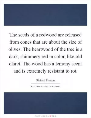 The seeds of a redwood are released from cones that are about the size of olives. The heartwood of the tree is a dark, shimmery red in color, like old claret. The wood has a lemony scent and is extremely resistant to rot Picture Quote #1