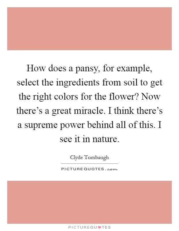 How does a pansy, for example, select the ingredients from soil to get the right colors for the flower? Now there's a great miracle. I think there's a supreme power behind all of this. I see it in nature. Picture Quote #1
