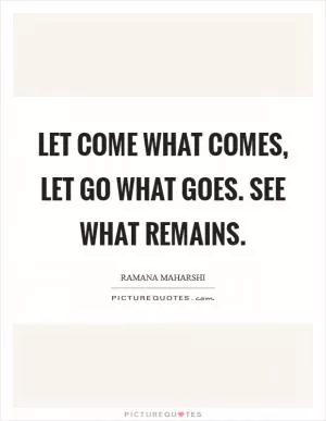 Let come what comes, let go what goes. See what remains Picture Quote #1