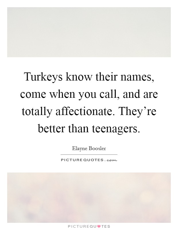Turkeys know their names, come when you call, and are totally affectionate. They're better than teenagers. Picture Quote #1