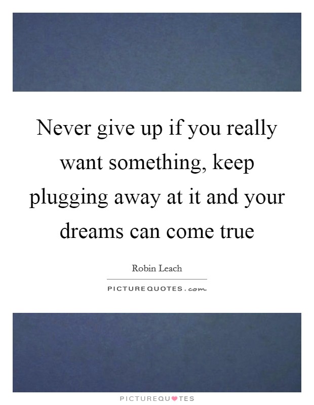Never give up if you really want something, keep plugging away at it and your dreams can come true Picture Quote #1