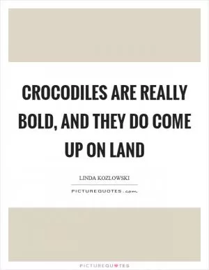 Crocodiles are really bold, and they do come up on land Picture Quote #1