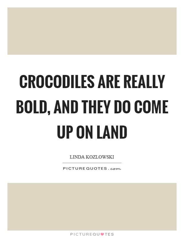 Crocodiles are really bold, and they do come up on land Picture Quote #1