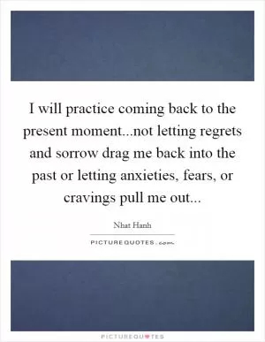 I will practice coming back to the present moment...not letting regrets and sorrow drag me back into the past or letting anxieties, fears, or cravings pull me out Picture Quote #1