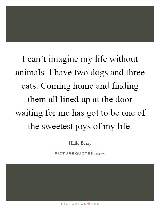 I can't imagine my life without animals. I have two dogs and three cats. Coming home and finding them all lined up at the door waiting for me has got to be one of the sweetest joys of my life. Picture Quote #1