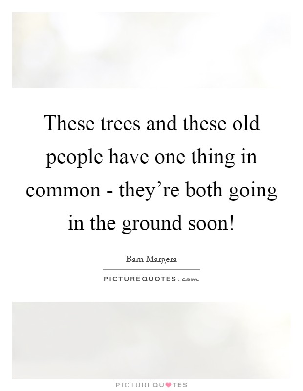 These trees and these old people have one thing in common - they're both going in the ground soon! Picture Quote #1