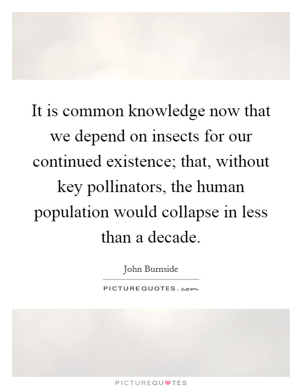 It is common knowledge now that we depend on insects for our continued existence; that, without key pollinators, the human population would collapse in less than a decade. Picture Quote #1