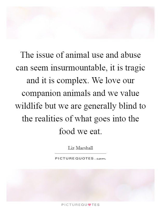 The issue of animal use and abuse can seem insurmountable, it is tragic and it is complex. We love our companion animals and we value wildlife but we are generally blind to the realities of what goes into the food we eat. Picture Quote #1