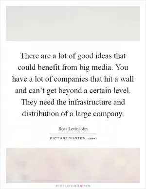 There are a lot of good ideas that could benefit from big media. You have a lot of companies that hit a wall and can’t get beyond a certain level. They need the infrastructure and distribution of a large company Picture Quote #1