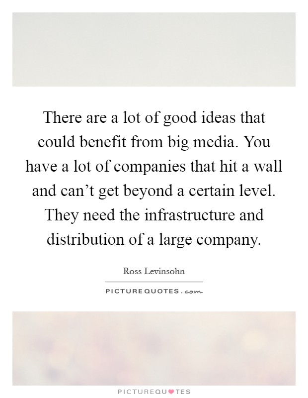 There are a lot of good ideas that could benefit from big media. You have a lot of companies that hit a wall and can't get beyond a certain level. They need the infrastructure and distribution of a large company. Picture Quote #1