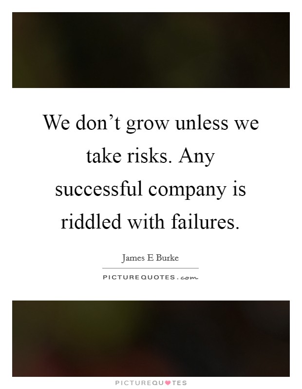 We don't grow unless we take risks. Any successful company is riddled with failures. Picture Quote #1