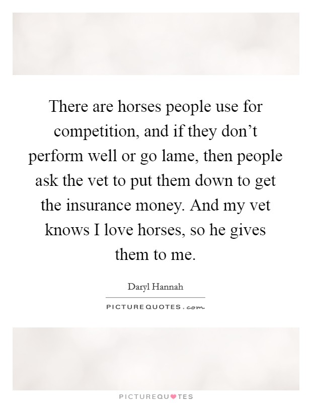 There are horses people use for competition, and if they don't perform well or go lame, then people ask the vet to put them down to get the insurance money. And my vet knows I love horses, so he gives them to me. Picture Quote #1