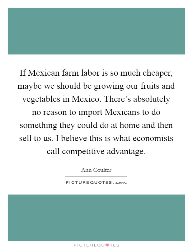 If Mexican farm labor is so much cheaper, maybe we should be growing our fruits and vegetables in Mexico. There's absolutely no reason to import Mexicans to do something they could do at home and then sell to us. I believe this is what economists call competitive advantage. Picture Quote #1
