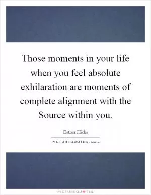 Those moments in your life when you feel absolute exhilaration are moments of complete alignment with the Source within you Picture Quote #1