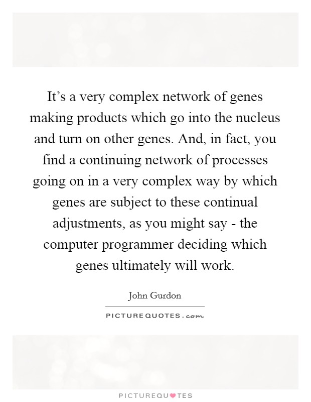 It's a very complex network of genes making products which go into the nucleus and turn on other genes. And, in fact, you find a continuing network of processes going on in a very complex way by which genes are subject to these continual adjustments, as you might say - the computer programmer deciding which genes ultimately will work. Picture Quote #1