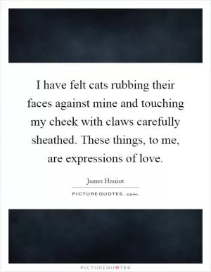 I have felt cats rubbing their faces against mine and touching my cheek with claws carefully sheathed. These things, to me, are expressions of love Picture Quote #1