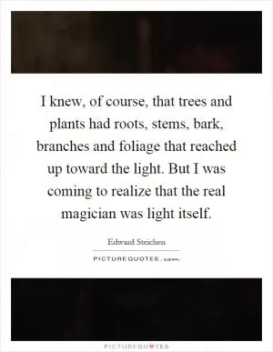 I knew, of course, that trees and plants had roots, stems, bark, branches and foliage that reached up toward the light. But I was coming to realize that the real magician was light itself Picture Quote #1