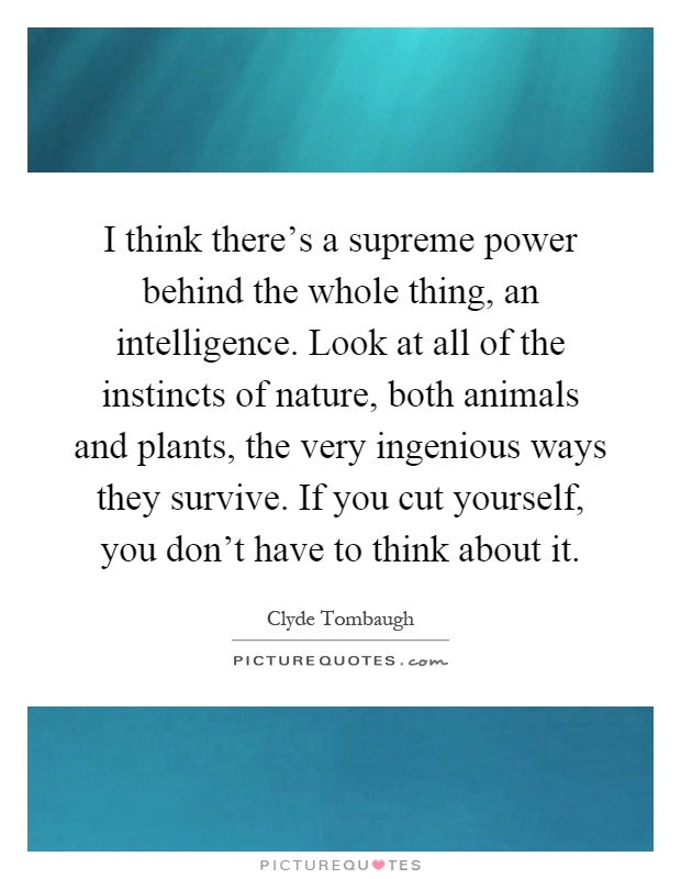 I think there's a supreme power behind the whole thing, an intelligence. Look at all of the instincts of nature, both animals and plants, the very ingenious ways they survive. If you cut yourself, you don't have to think about it Picture Quote #1