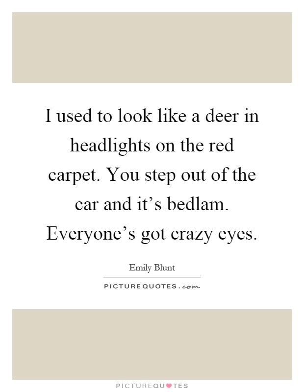 I used to look like a deer in headlights on the red carpet. You step out of the car and it's bedlam. Everyone's got crazy eyes Picture Quote #1