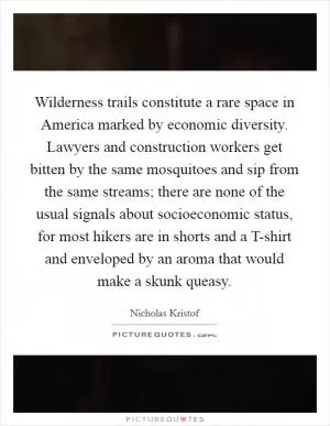 Wilderness trails constitute a rare space in America marked by economic diversity. Lawyers and construction workers get bitten by the same mosquitoes and sip from the same streams; there are none of the usual signals about socioeconomic status, for most hikers are in shorts and a T-shirt and enveloped by an aroma that would make a skunk queasy Picture Quote #1