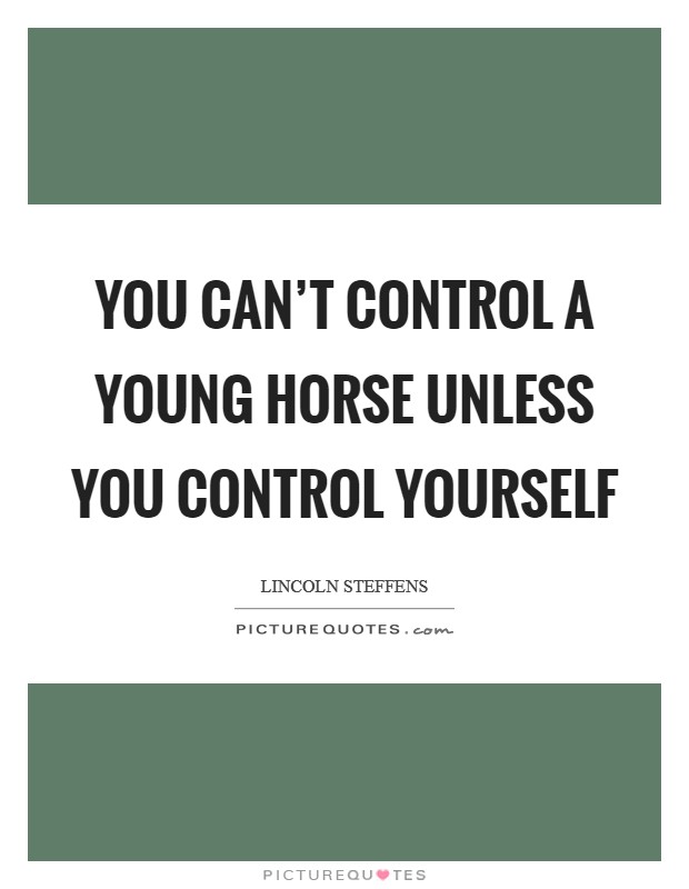 You can't control a young horse unless you control yourself Picture Quote #1