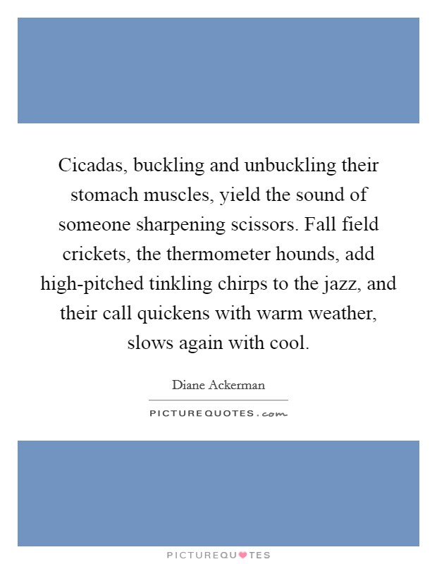 Cicadas, buckling and unbuckling their stomach muscles, yield the sound of someone sharpening scissors. Fall field crickets, the thermometer hounds, add high-pitched tinkling chirps to the jazz, and their call quickens with warm weather, slows again with cool. Picture Quote #1