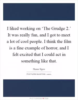 I liked working on ‘The Grudge 2.’ It was really fun, and I got to meet a lot of cool people. I think the film is a fine example of horror, and I felt excited that I could act in something like that Picture Quote #1
