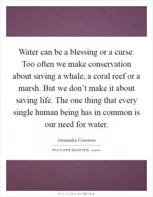 Water can be a blessing or a curse. Too often we make conservation about saving a whale, a coral reef or a marsh. But we don’t make it about saving life. The one thing that every single human being has in common is our need for water Picture Quote #1
