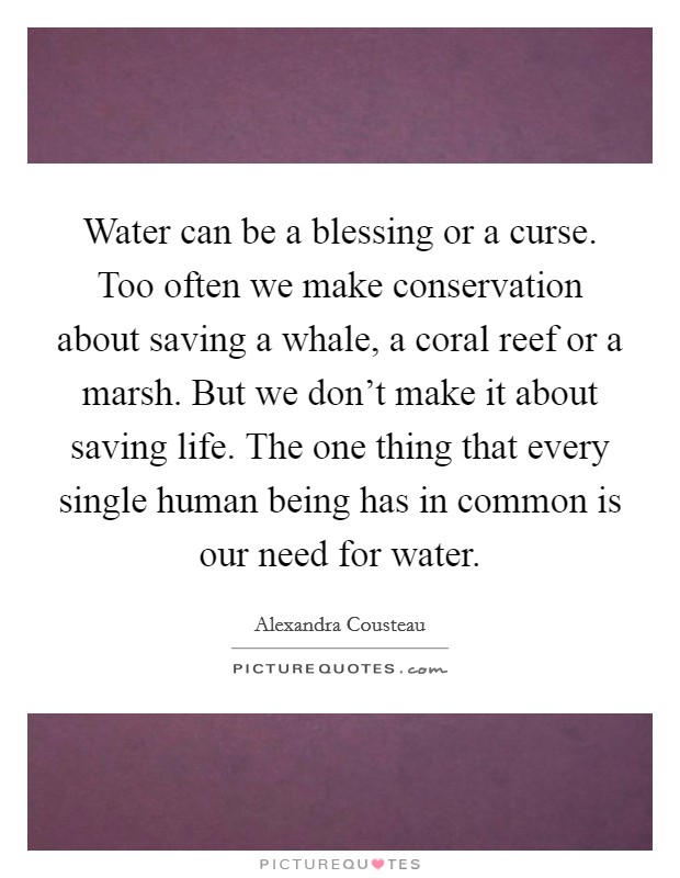 Water can be a blessing or a curse. Too often we make conservation about saving a whale, a coral reef or a marsh. But we don't make it about saving life. The one thing that every single human being has in common is our need for water. Picture Quote #1
