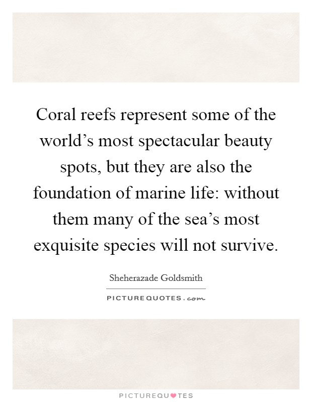 Coral reefs represent some of the world's most spectacular beauty spots, but they are also the foundation of marine life: without them many of the sea's most exquisite species will not survive. Picture Quote #1